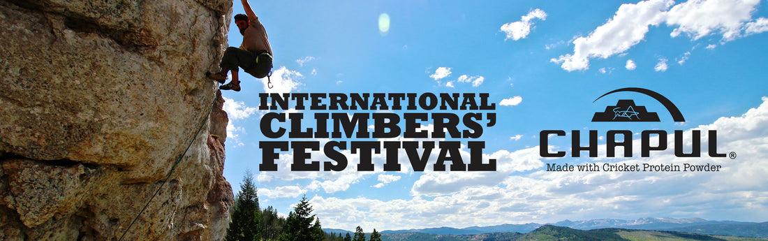 Crickets at the 23rd International Climber's Festival